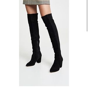 Splendid poet over the knee boots